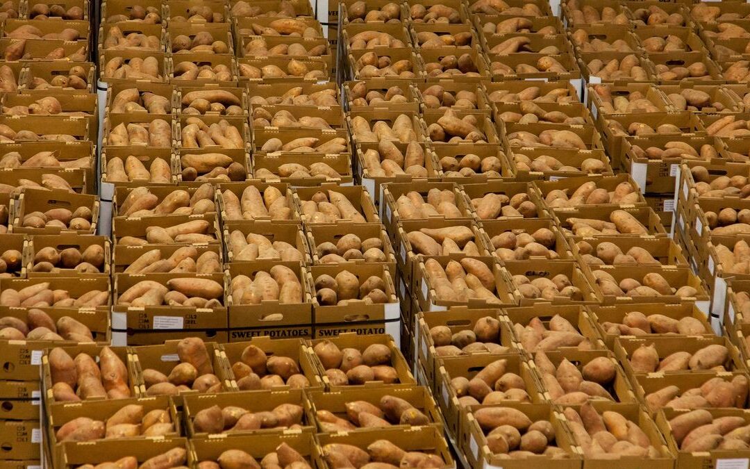 Food Grade Warehousing Requirements